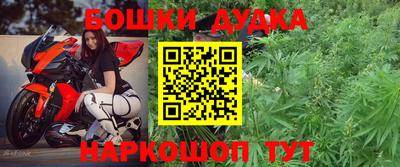 бошки Будённовск