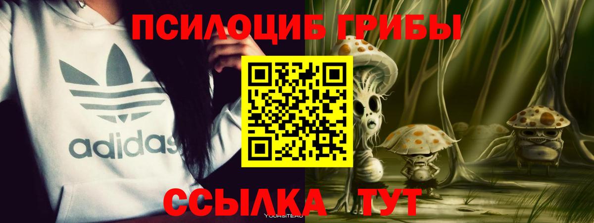 Костомукша  Псилоцибиновые грибы мухоморы  Вход с VPN 
